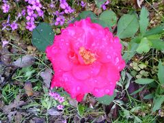 android_upload_pic-祥源·阜阳生态乐园