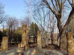 -国家植物园南园