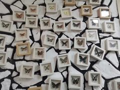 -海合安武汉极地海洋公园