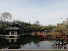 -水绘园