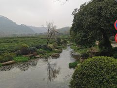 -中国茶叶博物馆(双峰馆区)