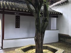 -兴福禅寺
