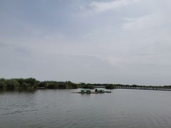 -包头南海湿地景区