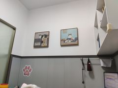 -伟伟宠物医院·瑞派猫友好医院·猫科(光谷店)