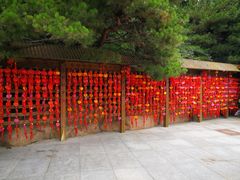-石岛赤山风景区