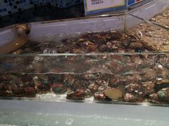 -盒马鲜生(莱蒙都会店)