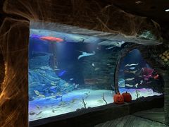 -沈阳海洋探索中心