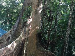 -乌鲁淡布隆国家公园