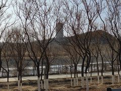 -永定河休闲森林公园