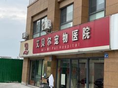 -艾贝尔宠物医院 ·内科全科(梁溪路店)