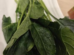 -呷哺呷哺 黄金牧场 (新辰里学清路店)