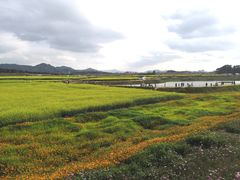 -光明小镇欢乐田园