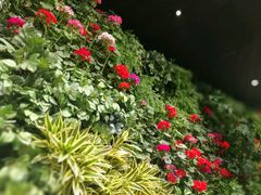 -Seesaw Coffee(环贸iapm店)