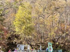 -叠溪松坪沟景区