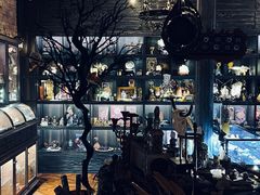 -雪灵魔法世界SHELLY’S TAROT(大良桂畔里店)