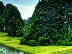 -曲江薰衣草庄园