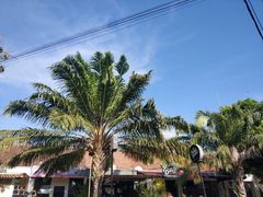 -Rock Bar Bali(Bali)