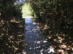 -鹅銮鼻公园
