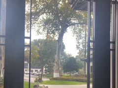 -杭州西湖柳莺里酒店·闻莺厅