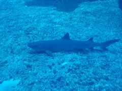 -多彩贵州城极地海洋世界