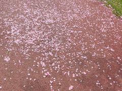 -艾溪湖湿地公园