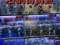-石锅苗苗鱼(武汉首店)