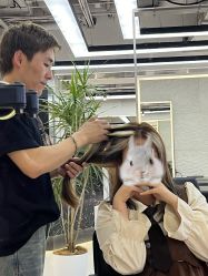-HaLo hair studio