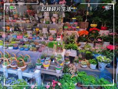 -循礼门鲜花花市(武汉循礼门店)