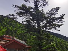 -峨眉山风景名胜区