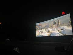 -枫花园汽车电影院(朝阳公园店)