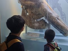 -国家自然博物馆