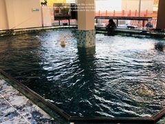 -SHRIMP CLUB万东餐饮钓虾·清吧