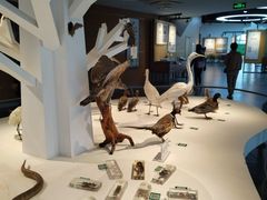 -漩门湾国家湿地公园