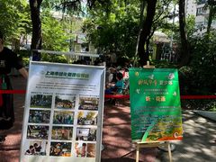 -中国福利会少年宫