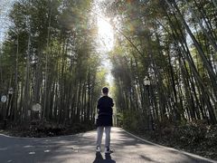 -咸宁万豪温泉谷度假区