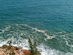 -广东惠东海龟国家级自然保护区