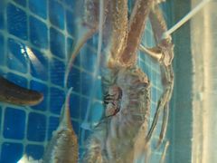 -碗中海·蒸汽海鲜·桑拿鸡(岭南天地店)