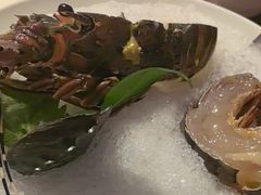 -揽季锅物会.福建黄鱼.海鲜姿造(五四路店)