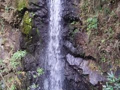 -马峦山郊野公园