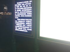 -荷兰花海