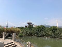 -芒洲湿地公园