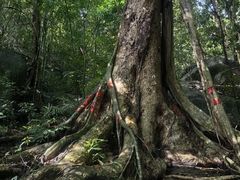 -七仙岭温泉国家森林公园