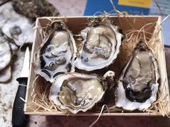 -酒池星座(深圳湾后海汇店)