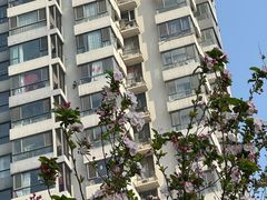 -燃熊中国汉堡(中山门店)