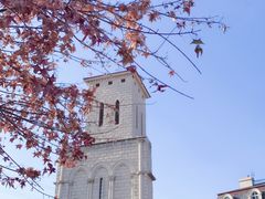 -北京张裕爱斐堡酒庄