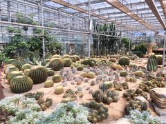 -龙达温泉生态城