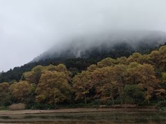 -黔灵山公园