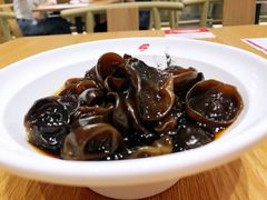 木耳-喜家德虾仁水饺(华强天虹店)