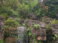 -广州神农草堂中医药博物馆