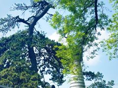 -潭柘寺景区